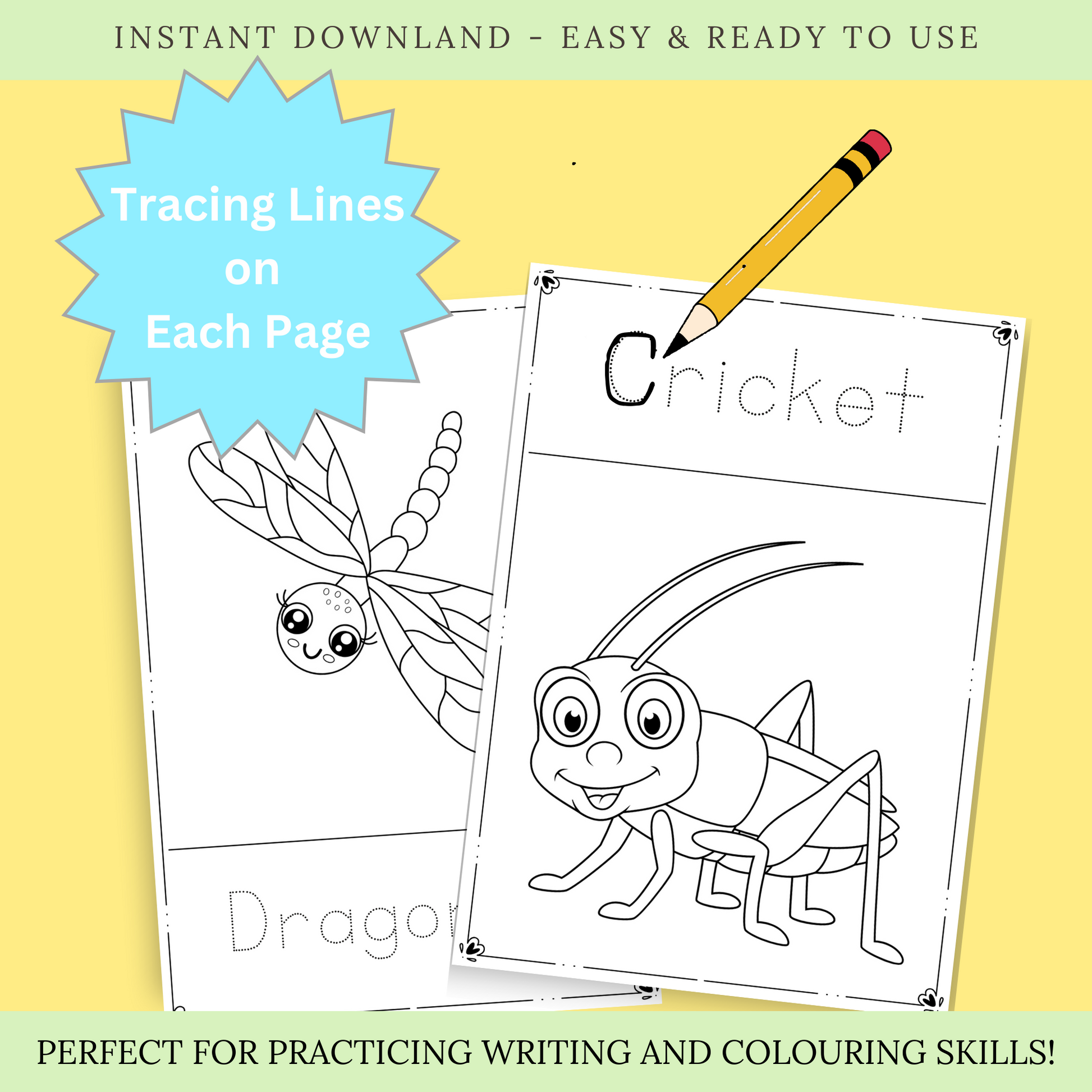 Insects - Colouring in and tracing pages