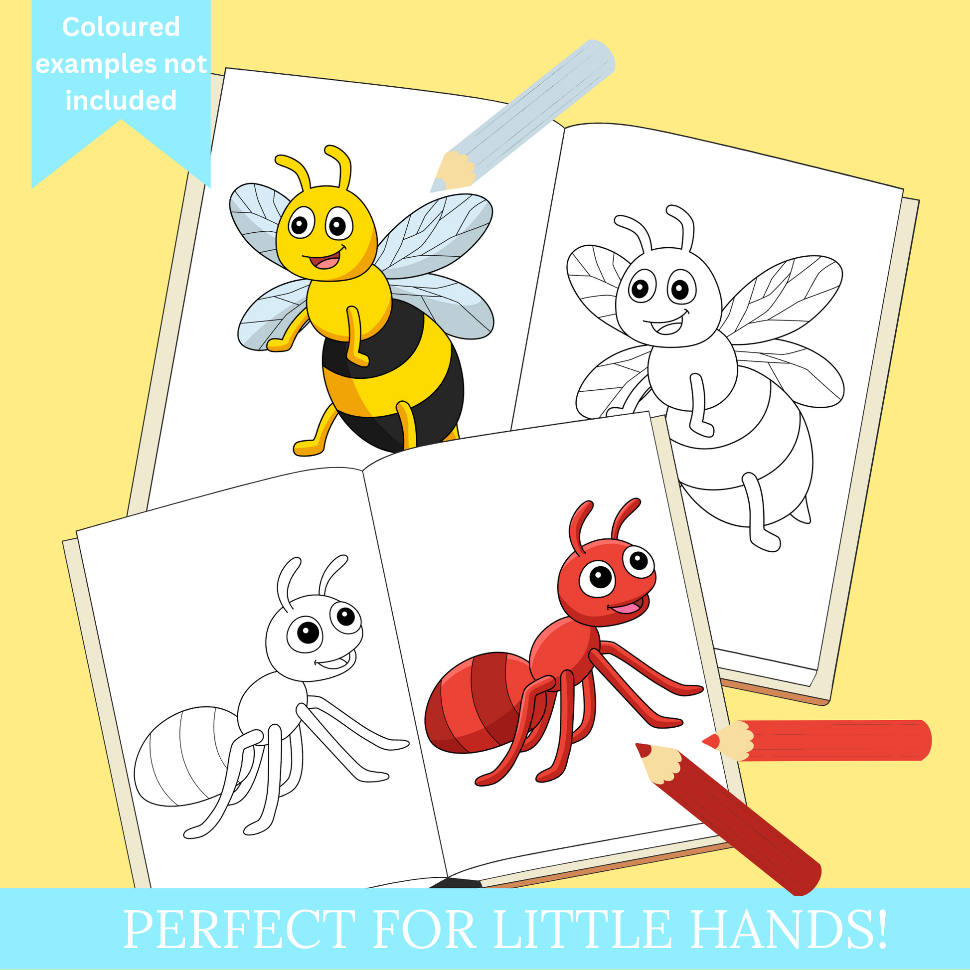 Insects - Colouring in and tracing pages